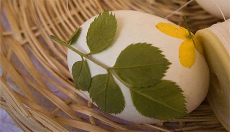 Для узора кладите на яйцо зелень Для узора кладите на яйцо зелень
