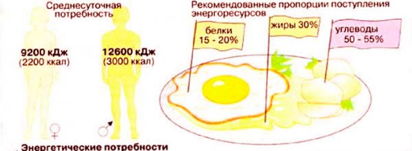 Таблица суточной нормы